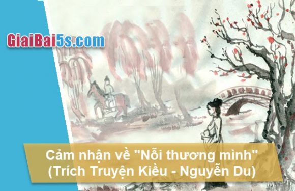 Đề 52 –  Cảm nhận về “Nỗi thương mình” (Trích Truyện Kiều – Nguyễn Du).