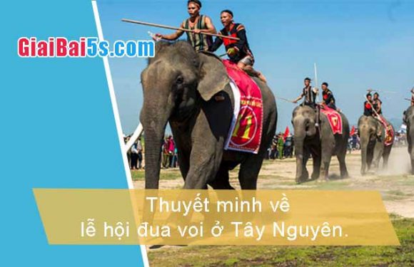 Đề 90 – Thuyết minh về lễ hội đua voi ở Tây Nguyên.
