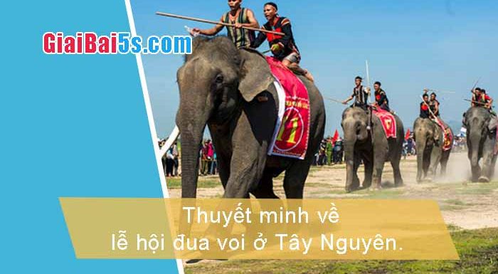 Đề 90 – Thuyết minh về lễ hội đua voi ở Tây Nguyên.